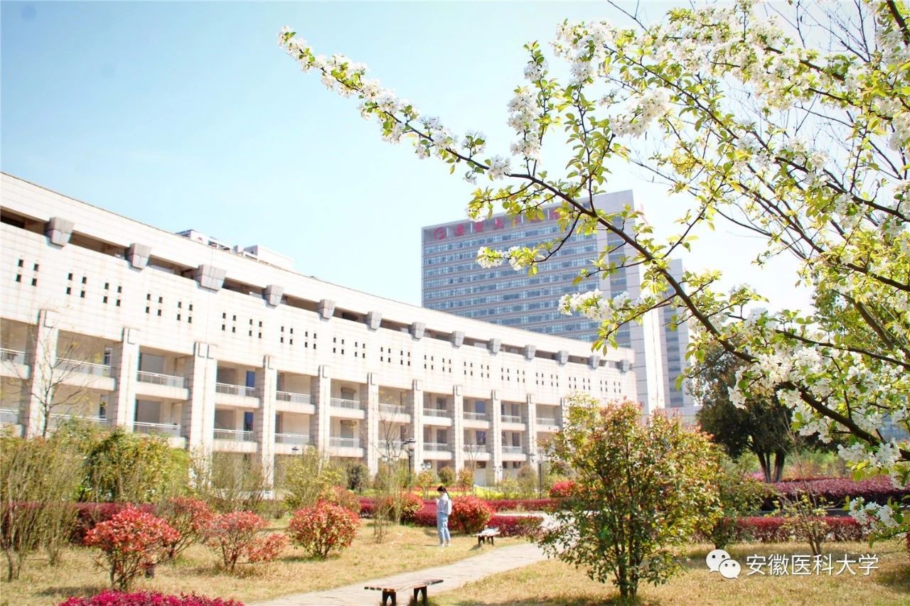 潍坊科技学院护理学院图片